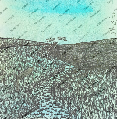 87